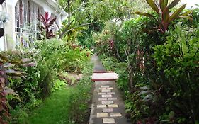 15 Min From The Airport In Kingston Jamaica